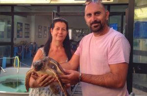 Lampedusa turtle group