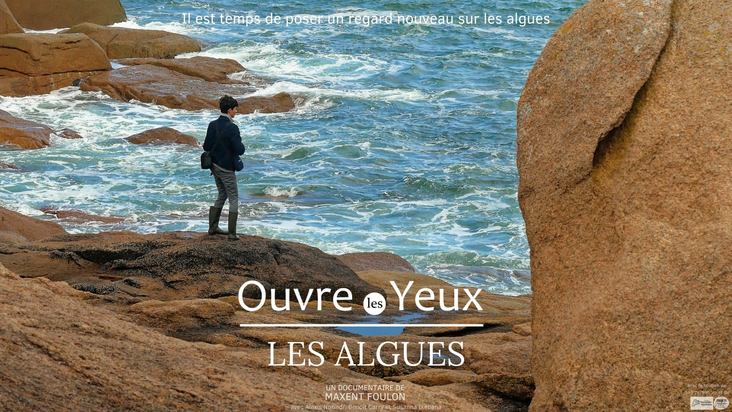 OUVRE LES YEUX : LES ALGUES - CMCA