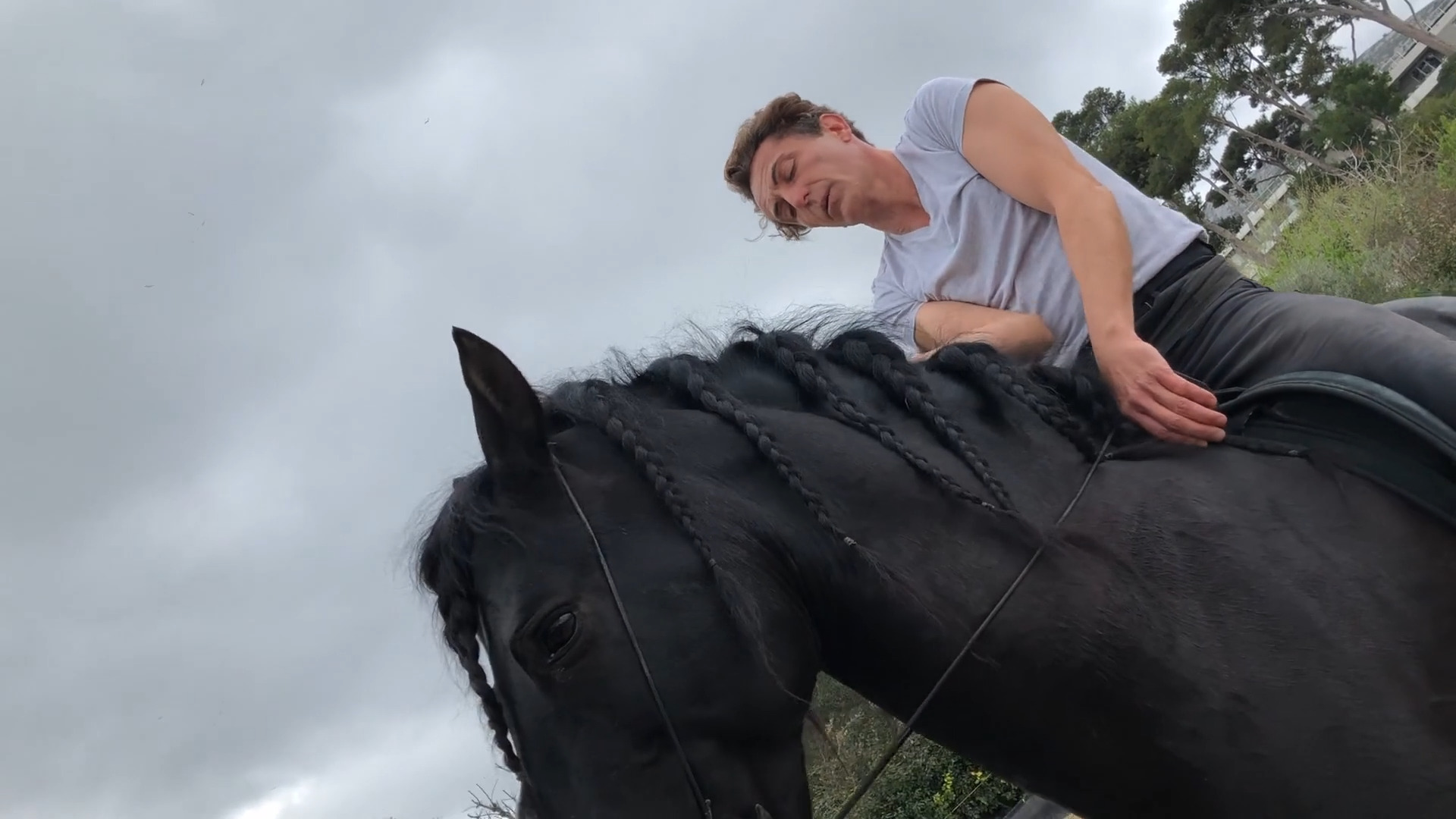 HUMAIN, CHEVAL - CMCA