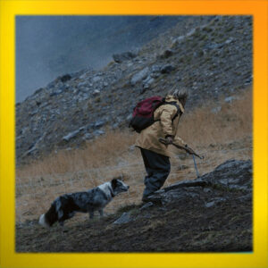 projection-un-pasteur-primed2025